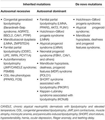 Insulin Resistance in Children